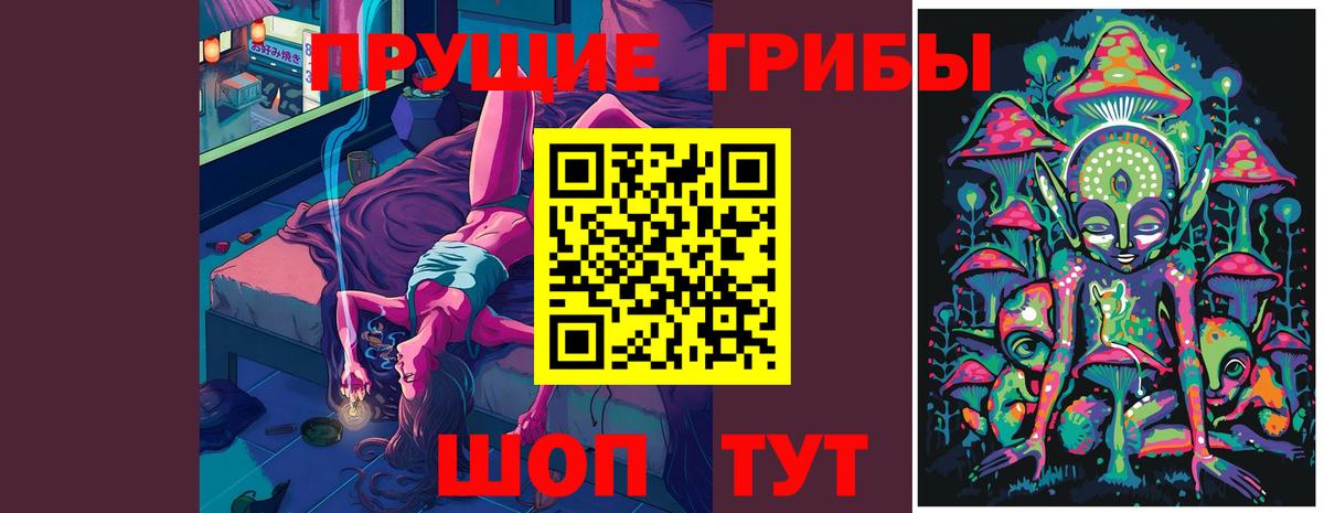Дальнереченск  Псилоцибиновые грибы Cubensis  Галлюциногенные грибы Psilocybine cubensis  купить закладку  Вход с VPN 